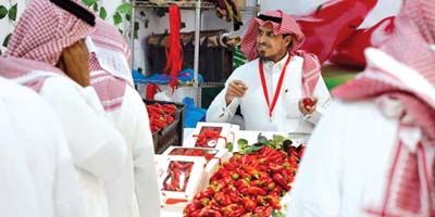 فلفل شقراء.. كيف يتحول الحدث من مهرجان زراعي إلى علامة تجارية عالمية؟ 