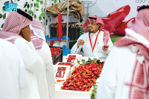 من مهرجان فلفل شقراء