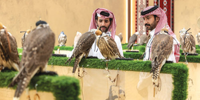 زيادة الإقبال على المزاد الدولي لمزارع إنتاج الصقور في إجازة نهاية الأسبوع 