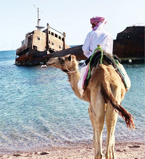في مشهد يجسد تناغم الصحراء والبحر 