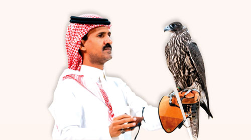من الجير إلى الشاهين.. خصائص تميز أنواع الصقور في المزاد الدولي لمزارع إنتاج الصقور 