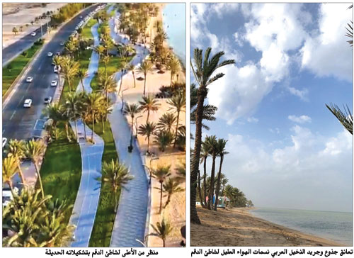شاطئ الدقم بأملج ضمن أفضل 100 شاطئ على مستوى العالم 