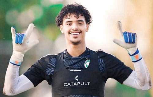 حامد شنقيطي