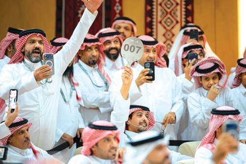 صقر المليون و 300 ألف ريال نتاج سنوات من الخبرة 