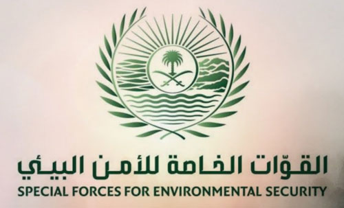 ضبط مخالف لإشعاله النار في غير الأماكن المخصصة لها 