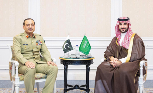 وزير الدفاع يبحث مع قائد الجيش الباكستاني التعاون العسكري والدفاعي 