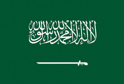 أكدوا تضامنهم مع المملكة 