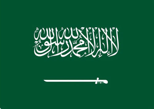 المملكة أمام مجلس الأمن: 