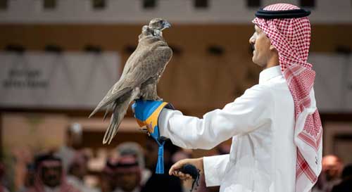 بمعرض الصقور والصيد 