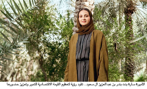 من النخلة إلى السوق العالمية.. السعودية تعيد رسم اقتصاد التمور 