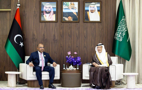 جانب من لقاءات سمو وزير الطاقة