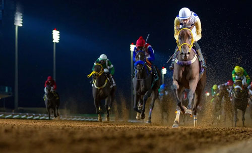 منافسات قوية في افتتاحية سباقات الخيل بالرياض 