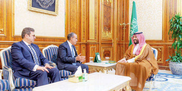 ولي العهد خلال استقباله وزير الخارجية المصري