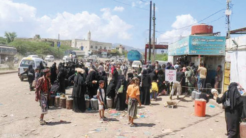 معظمهم من تعز 